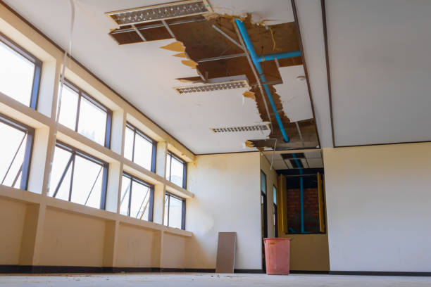 Best Basement water damage restoration  in Union City, OH