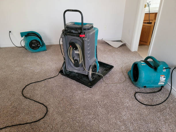 Best Water damage cleanup near me  in Union City, OH