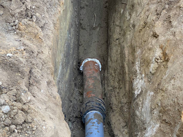 Best Flood damage cleanup  in Union City, OH