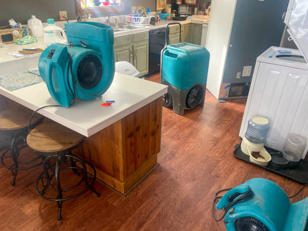 Best Emergency water damage restoration  in Union City, OH
