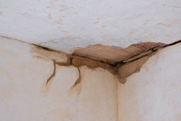  Union City, OH Water damage restoration Pros