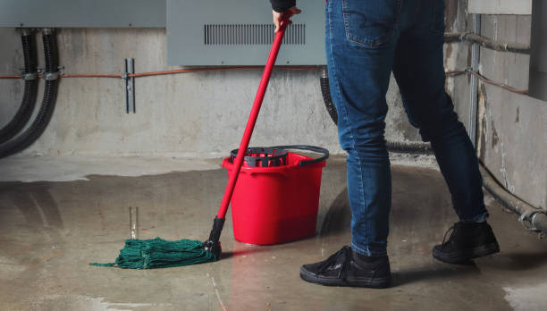 Best Ceiling water damage repair  in Union City, OH