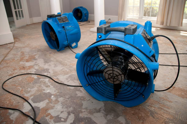 Best Local water damage restoration  in Union City, OH
