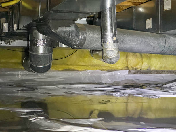 Best Professional water damage repair  in Union City, OH