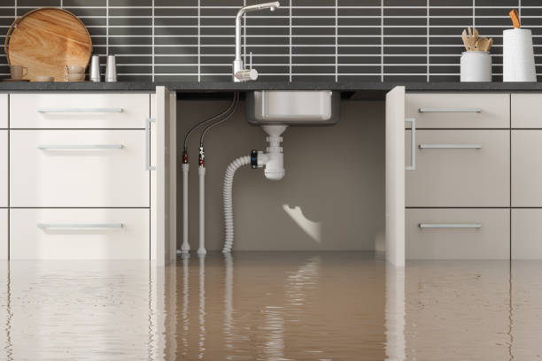 Water damage restoration mold remediation in Union City, OH