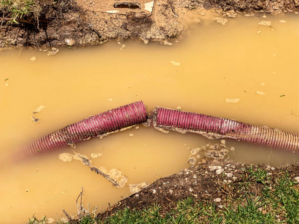 Best Mold removal after water damage  in Union City, OH