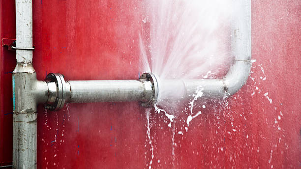 Best Residential water damage restoration  in Union City, OH